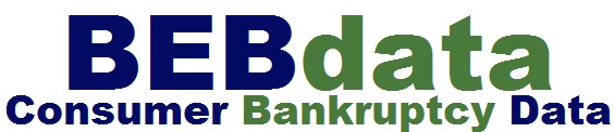 bebdata logo 2014-09